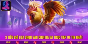 San Choi Da Ga Truc Tiep Uy Tin