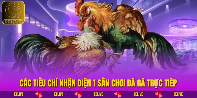 Các tiêu chí nhận diện 1 sân chơi đá gà trực tiếp