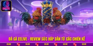 Đá Gà EELIVE
