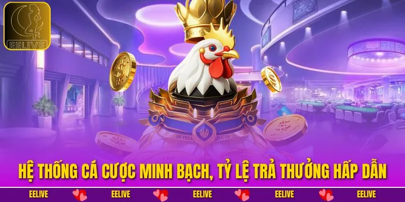 Hệ thống cá cược minh bạch, tỷ lệ trả thưởng hấp dẫn