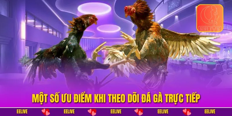 Một số ưu điểm khi theo dõi đá gà trực tiếp