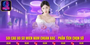 Soi Cau Xo So Mien Nam Chuan Xac